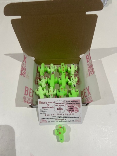12 mini Green Cactus Wax Melts