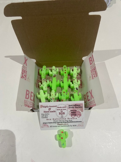 12 mini Green Cactus Wax Melts