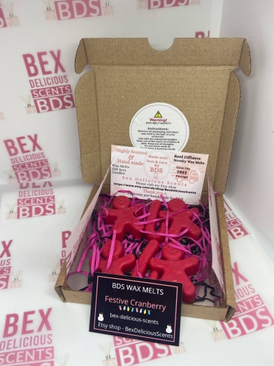 Christmas Wax Melt Assortment x6