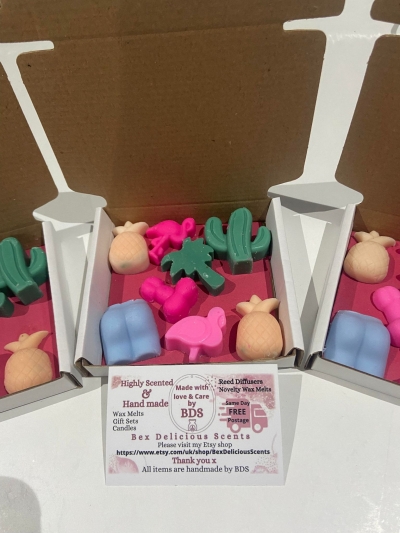 Summer Surprise Wax melts x 8.